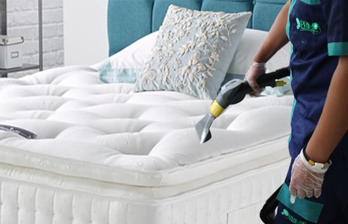 steam cleaning bed mattresses